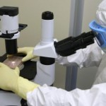 Equipe Luigi Naldini: Il virus Hiv per curare due gravi malattie genetiche
