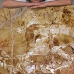 Alberto Cini: Pensieri sulla parola "abile" e i suoi opposti