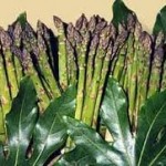 Roberto Dall'Olio: Una poesia sugli asparagi e auguri per Pasqua