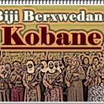 Roberto Dall'Olio: A Kobane