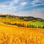 Francesco Cancellato: Dal biologico alla bioeconomy. Torneremo tutti agricoltori