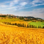 Francesco Cancellato: Dal biologico alla bioeconomy. Torneremo tutti agricoltori