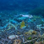 Roberto Dall'Olio: La plastica nel mare