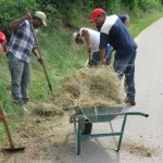 Aulo Crisma:  Lavori utili volontari svolti dai profughi del Bangladesh a Selva di Progno