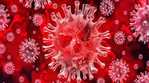 Cinzia Nalin: Il virus, il non morto. Una metafora sociale, forse.