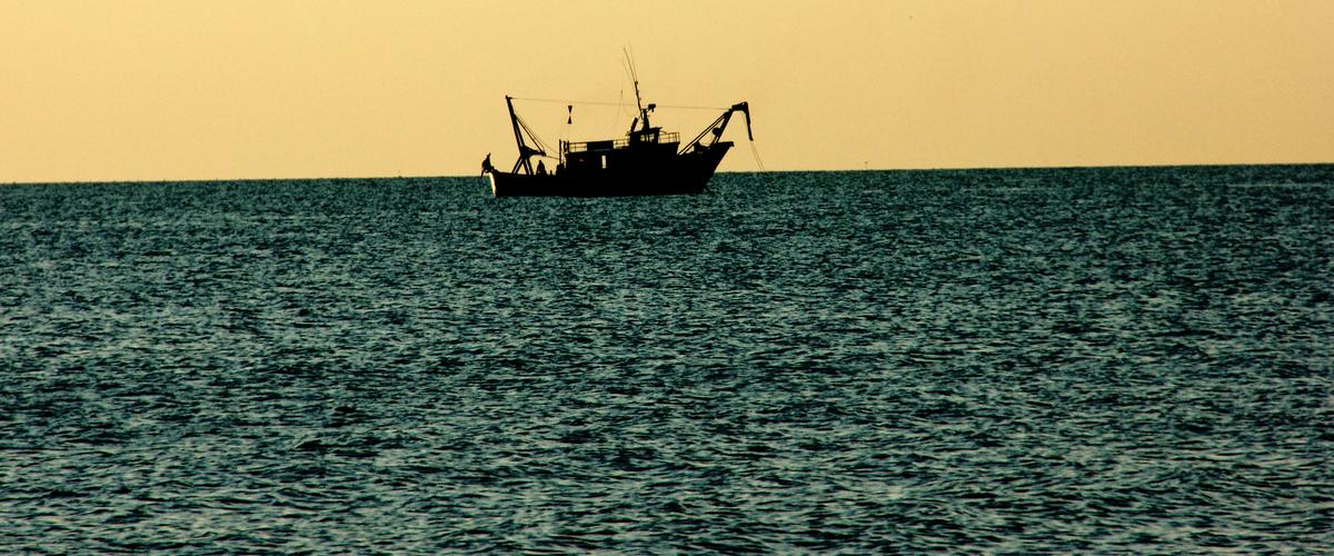Roberto Dall'Olio: I pescatori di Mazara arrestati a Bengasi