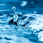 Roberto Dall'Olio: Semafori, fossi, bottiglie