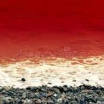 Roberto Dall'Olio: Sangue di mare