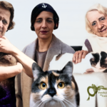 José Joaquín Beeme: Gattopoetica di María Zambrano. Pensare l’esilio da Roma